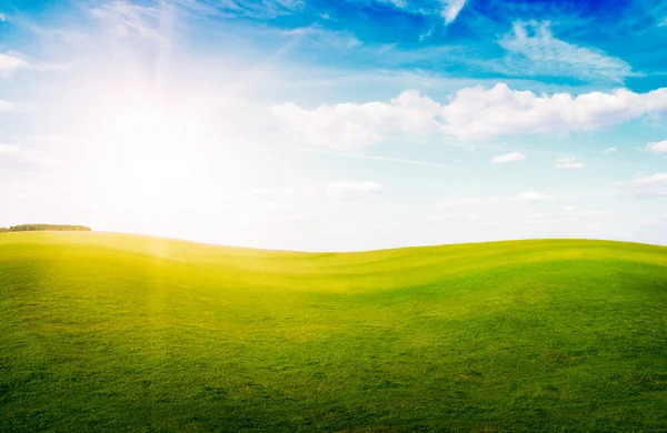 Green grass hills under midday sun in blue sky. — Stock Photo, Image