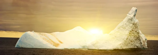 Antarktika buz ada — Stok fotoğraf