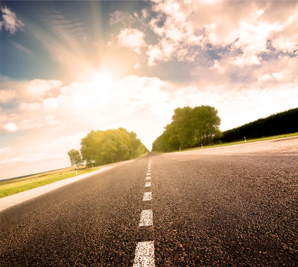 Asphalt road in green sunset meadow — Stock Photo, Image
