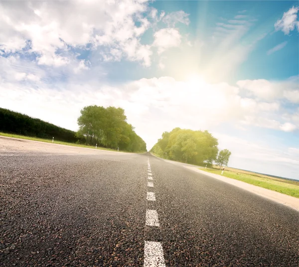 Asphalt road in green sunset meadow Royalty Free Stock Photos