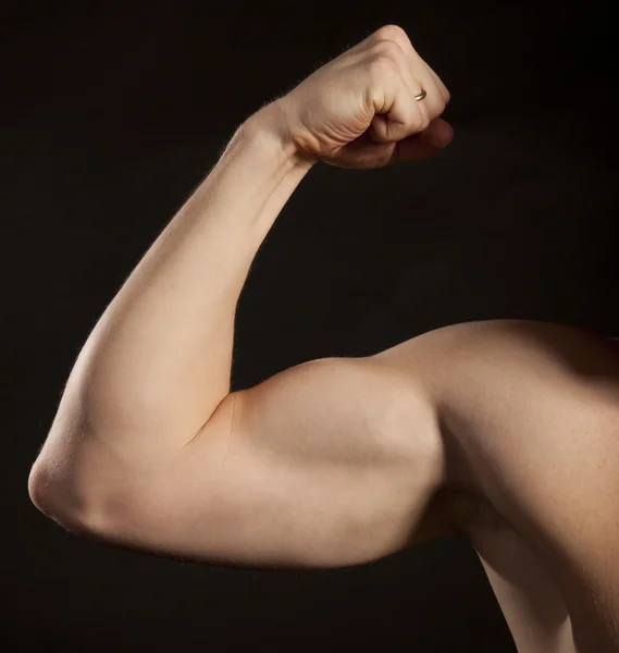 Musculus biceps Stockafbeelding