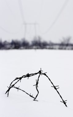 Barbed wire in snow clipart