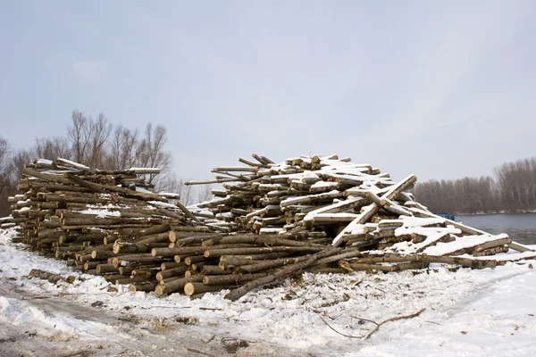Вырубка древесины на берегу реки зимой — стоковое фото