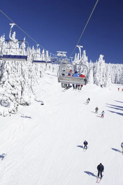 Kayakçı kayak pistlerine zevk — Stok fotoğraf