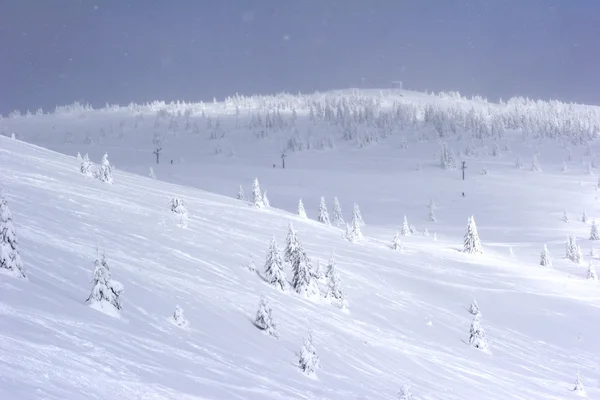 Neve coberta encosta da montanha — Fotografia de Stock