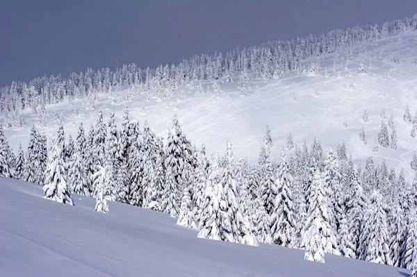 深い雪で覆われているスキー斜面 — ストック写真