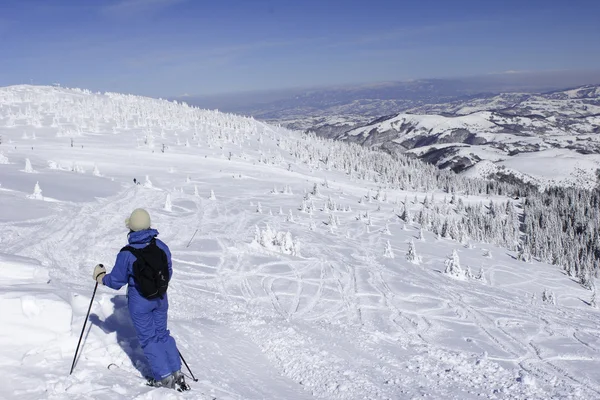 Лыжник-одиночка на вершине горы — стоковое фото
