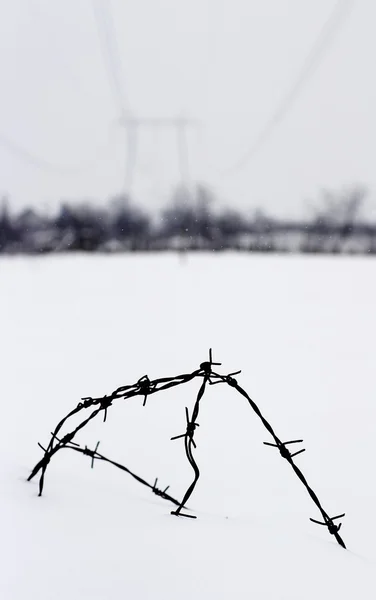 Ostnatý drát ve sněhu — Stock fotografie