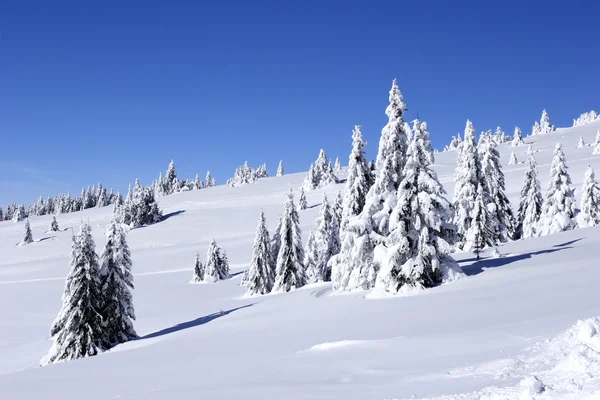 Neve coberta encosta da montanha — Fotografia de Stock
