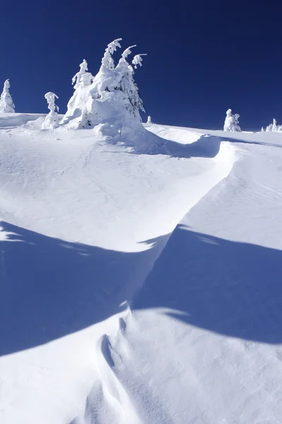 Schnee bedeckte Berge und Bäume — Stockfoto