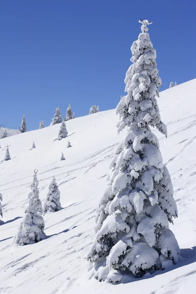 Snötäckta berg och träd — Stockfoto