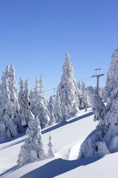 Schneebedeckte Skipiste — Stockfoto