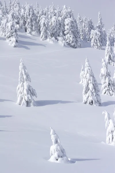 Montaña cubierta de nieve y árboles —  Fotos de Stock