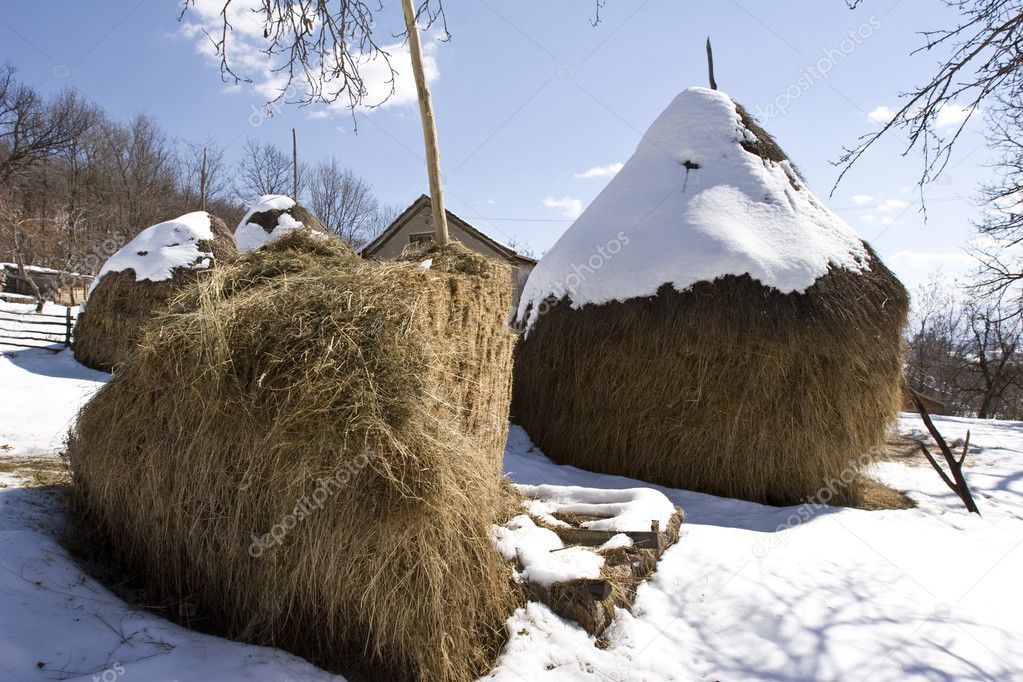 Traditional haystack on farm