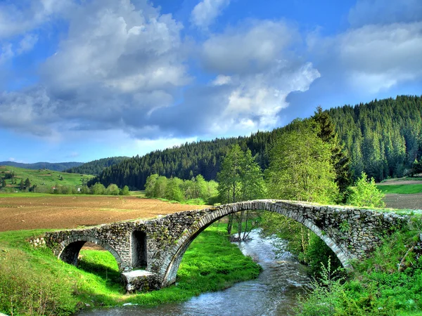 Eski Köprü — Stok fotoğraf