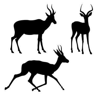 Antelope clipart