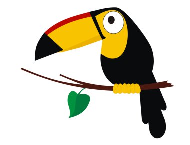 Toco Toucan