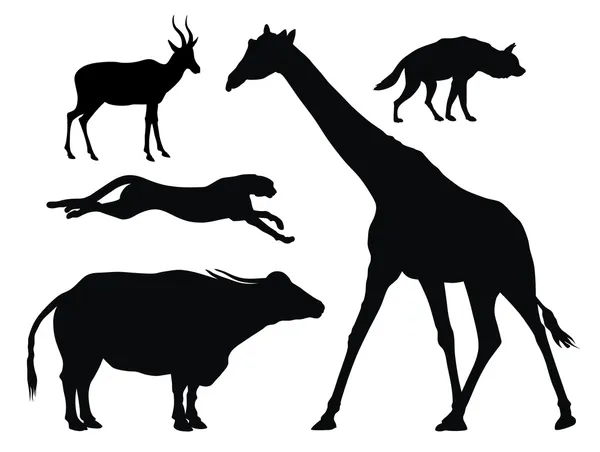 Africká zvířata — Stockový vektor