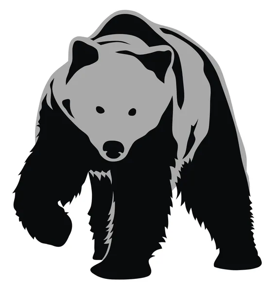 Medvěd — Stockový vektor