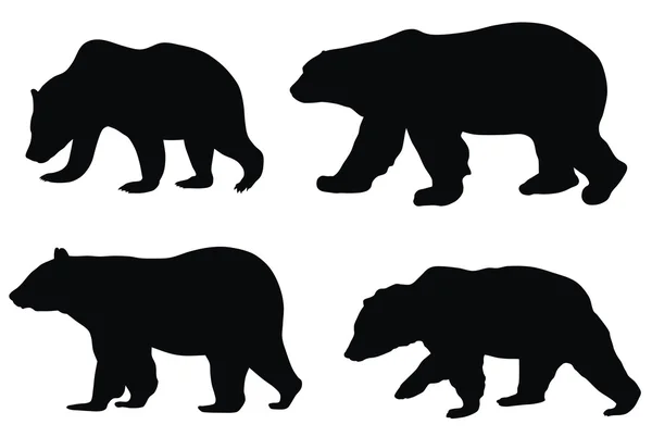 Björnar — Stock vektor