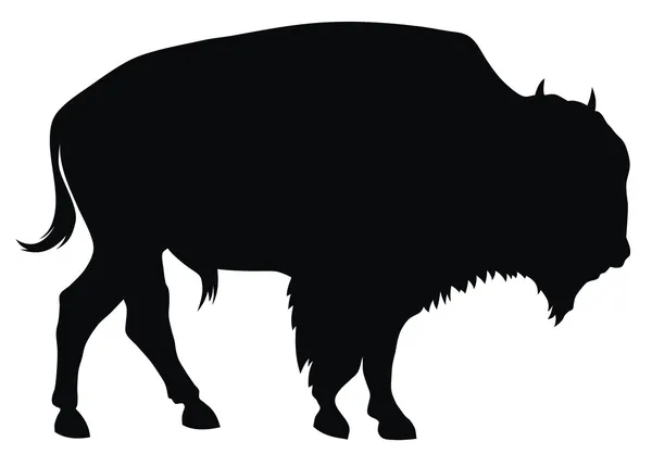 Bison — Image vectorielle