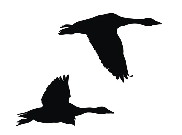 Flying geese — Stock Vector