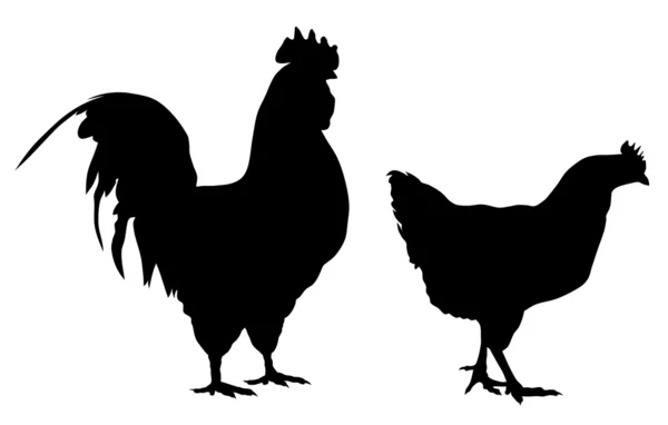 公鸡和母鸡 — 图库矢量图片