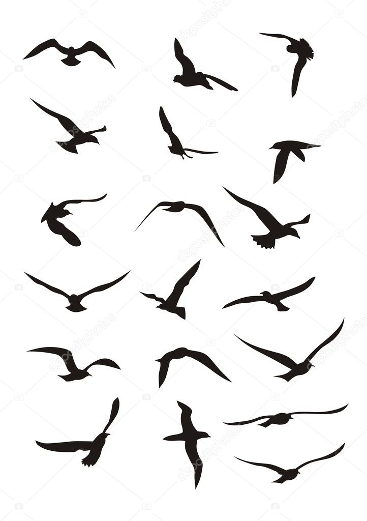 Oiseau Qui Vole Images Vectorielles Oiseau Qui Vole Vecteurs Libres De Droits Depositphotos