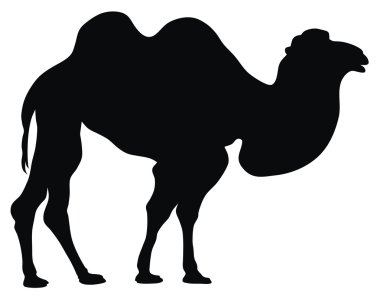 Camel clipart