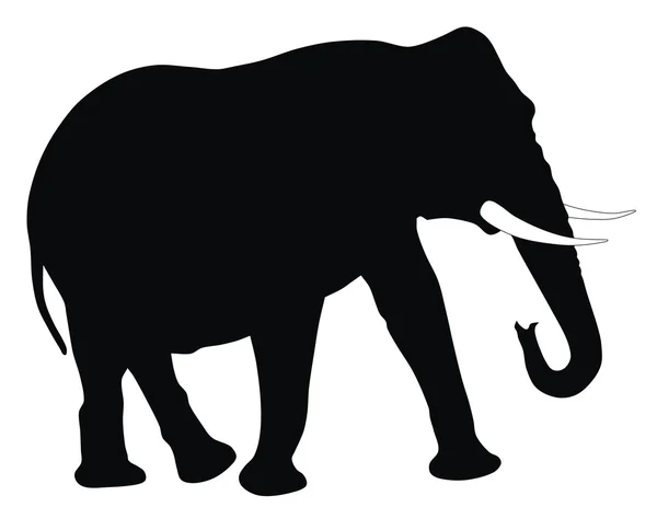 Elefante —  Vetores de Stock