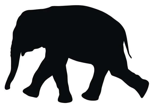 Слон — стоковый вектор