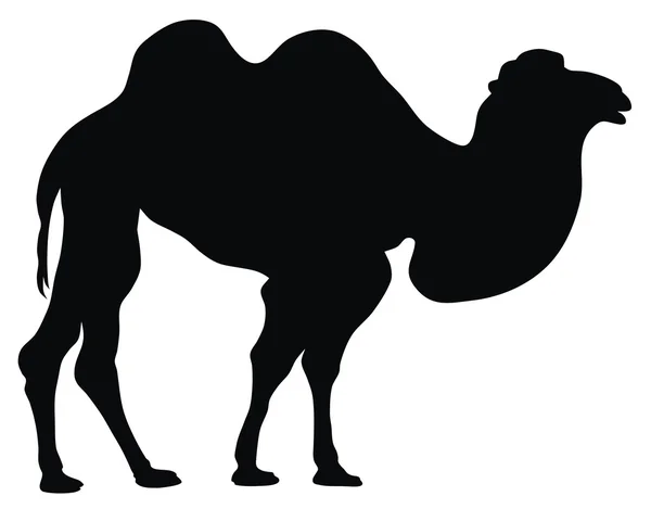 Верблюд — стоковий вектор
