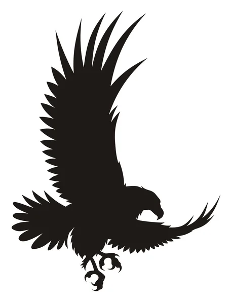 Soaring Eagle SVG