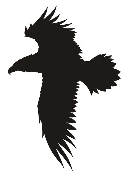 Águila — Archivo Imágenes Vectoriales