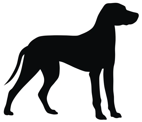 Собака — стоковый вектор