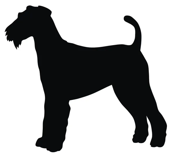 Terrier Airedale — Vettoriale Stock