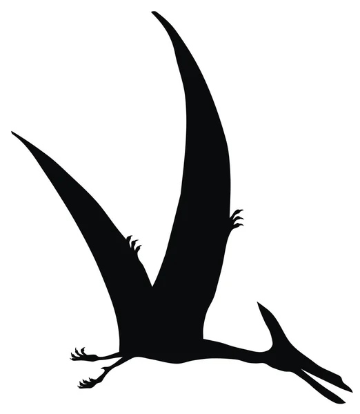 Pteranodon — Vettoriale Stock