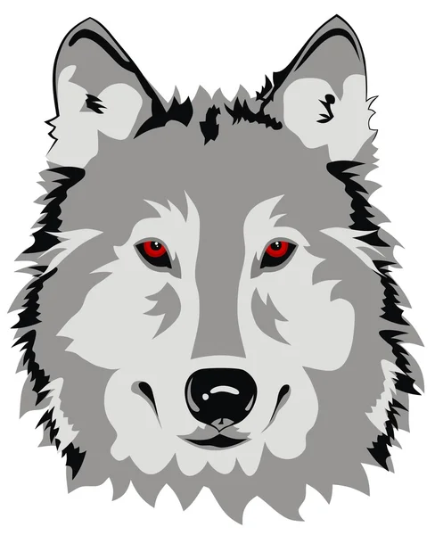 Loup — Image vectorielle