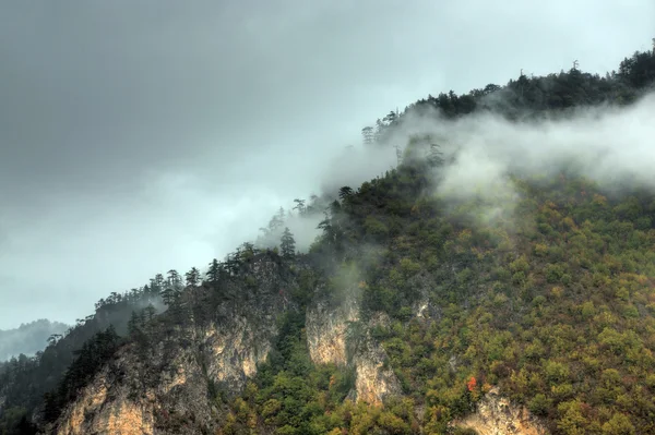 stock image Landscape