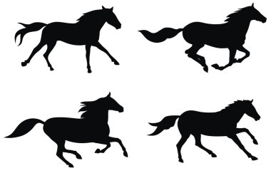 Horses clipart