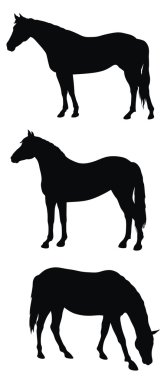 Horses clipart