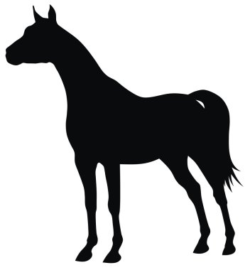 Horse clipart