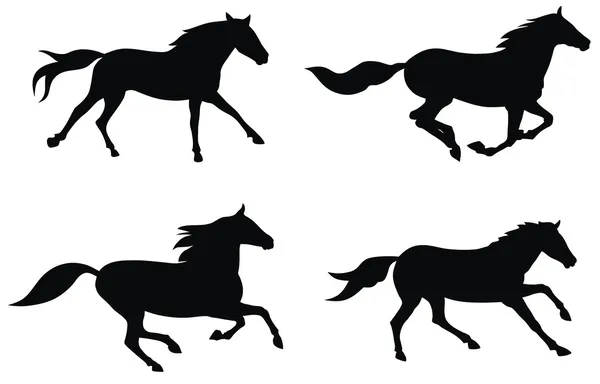 Paarden — Stockvector