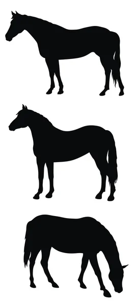Cavalli — Vettoriale Stock