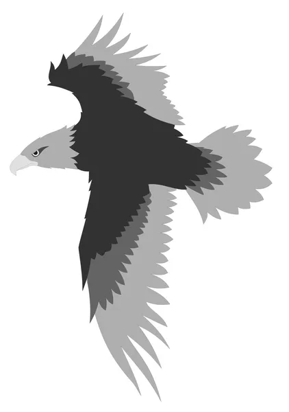 Águia voadora — Vetor de Stock