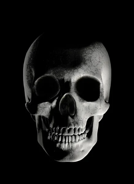 Totenkopf auf schwarz — Stockfoto