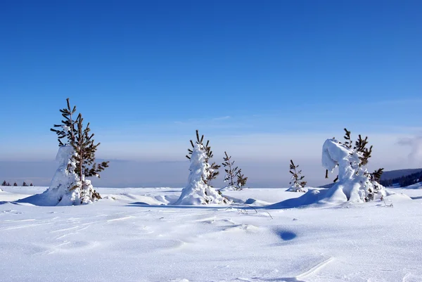 Zimowa Scena Góry Witosza Bułgaria — Zdjęcie stockowe