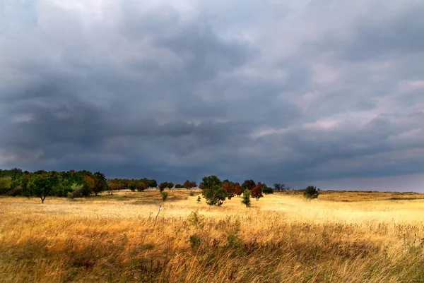 stock image Before the storm