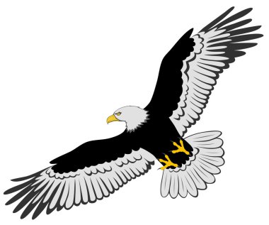 Flying Eagle clipart