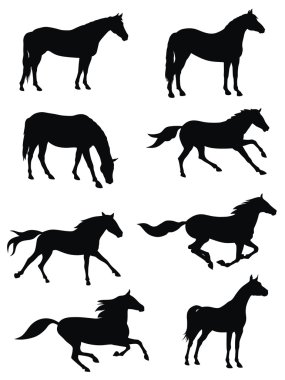 Vector illustration of various horses silhouettes clipart